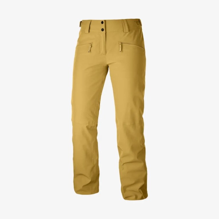 Pantalones De Esquí Salomon Edge Mujer Marrom | MX VWDK128